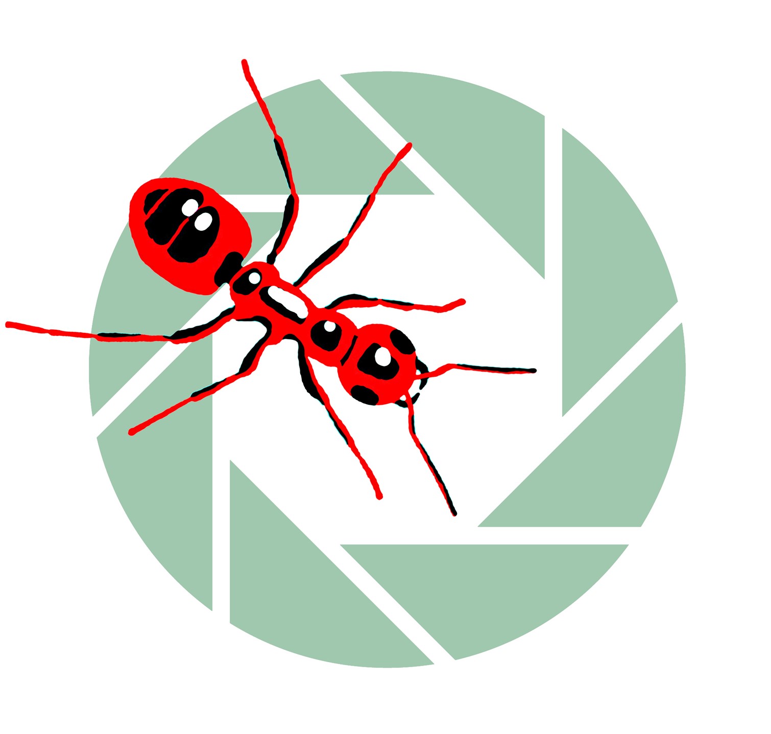 Red Ant Photography Logo